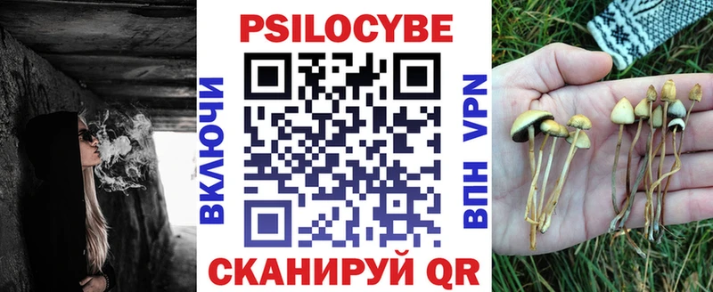 закладка  Асбест  Псилоцибиновые грибы Cubensis 